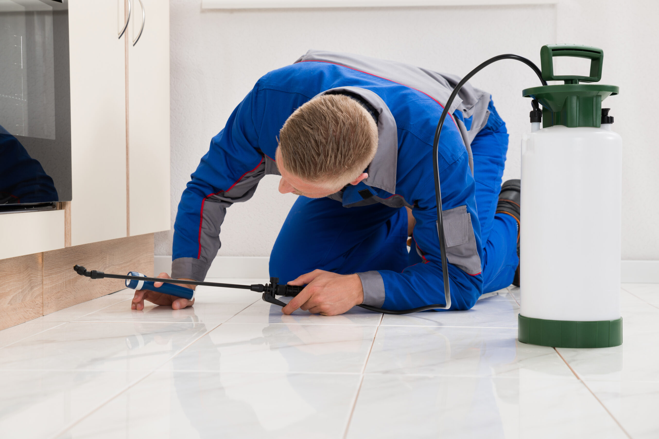 Pest Control in Hialeah, FL